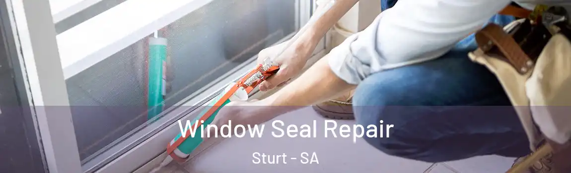  Window Seal Repair Sturt - SA