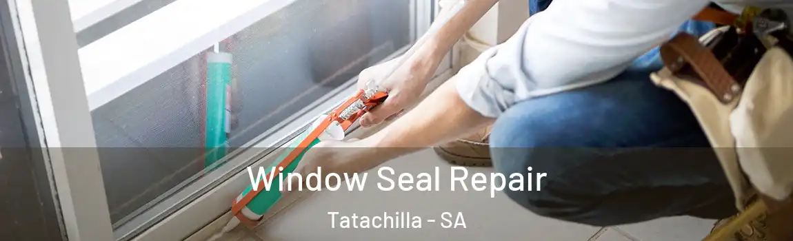  Window Seal Repair Tatachilla - SA
