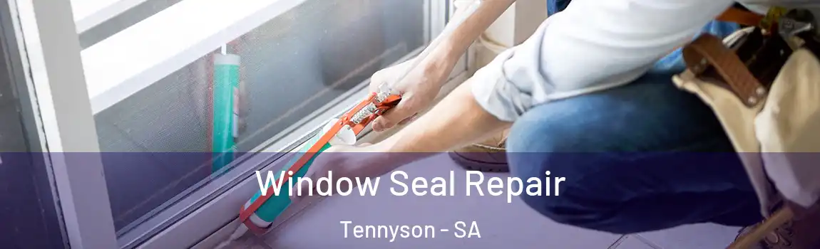 Window Seal Repair Tennyson - SA