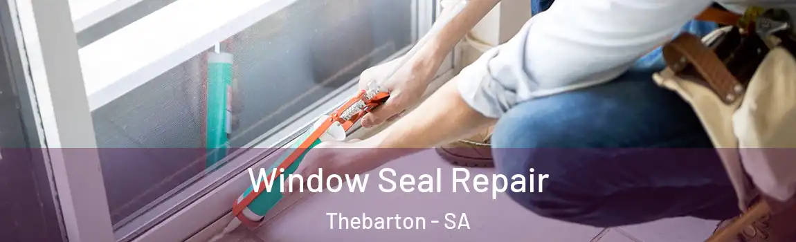 Window Seal Repair Thebarton - SA
