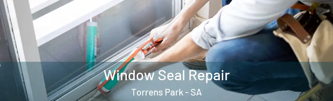 Window Seal Repair Torrens Park - SA