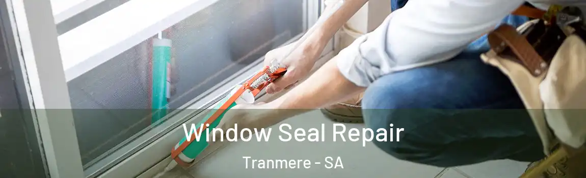  Window Seal Repair Tranmere - SA