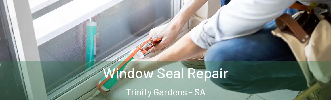  Window Seal Repair Trinity Gardens - SA