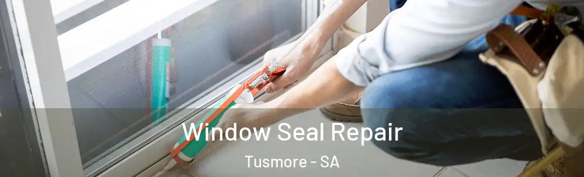  Window Seal Repair Tusmore - SA