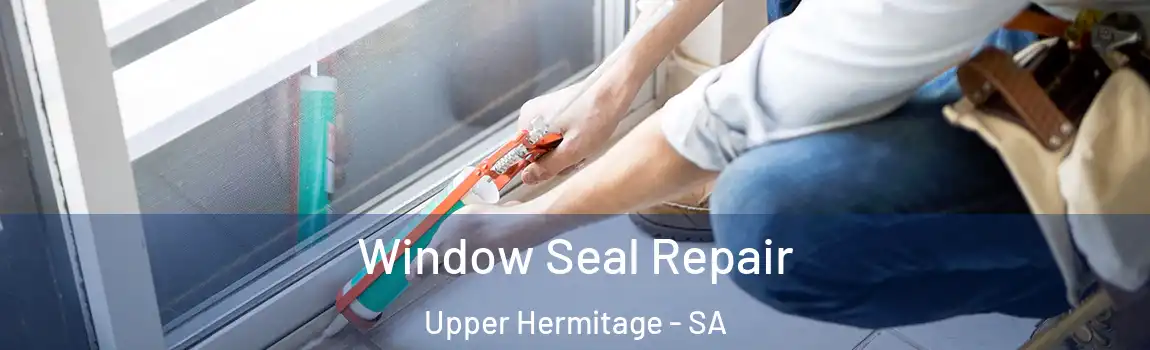  Window Seal Repair Upper Hermitage - SA