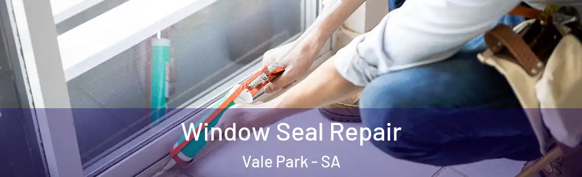 Window Seal Repair Vale Park - SA