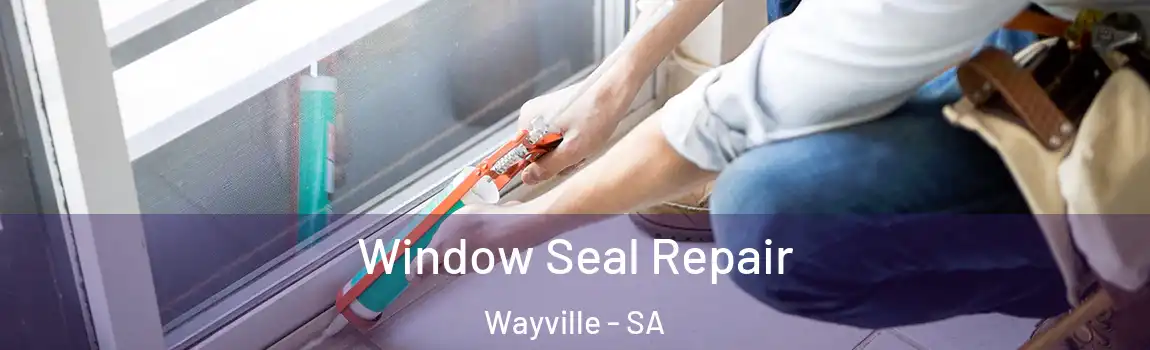 Window Seal Repair Wayville - SA