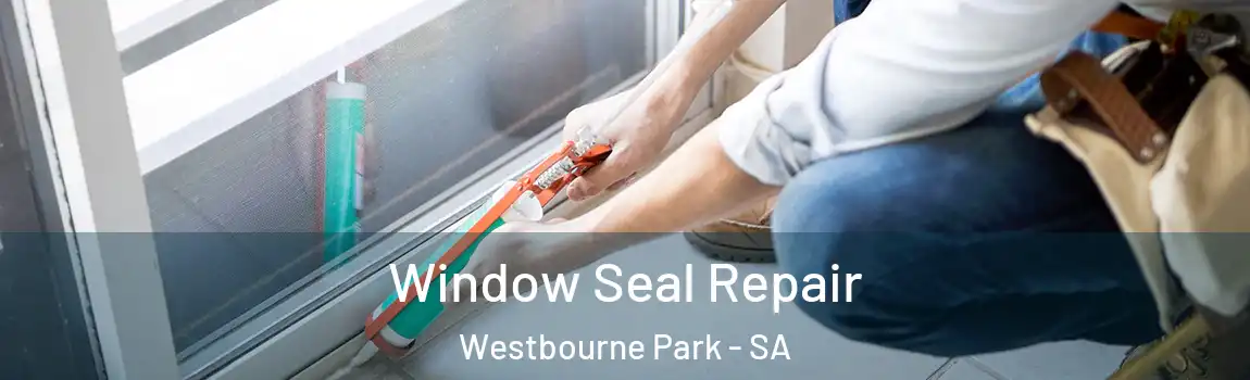 Window Seal Repair Westbourne Park - SA