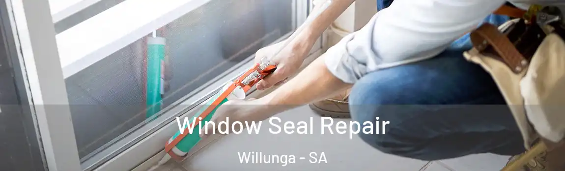  Window Seal Repair Willunga - SA