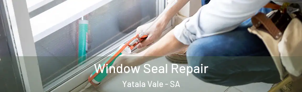 Window Seal Repair Yatala Vale - SA